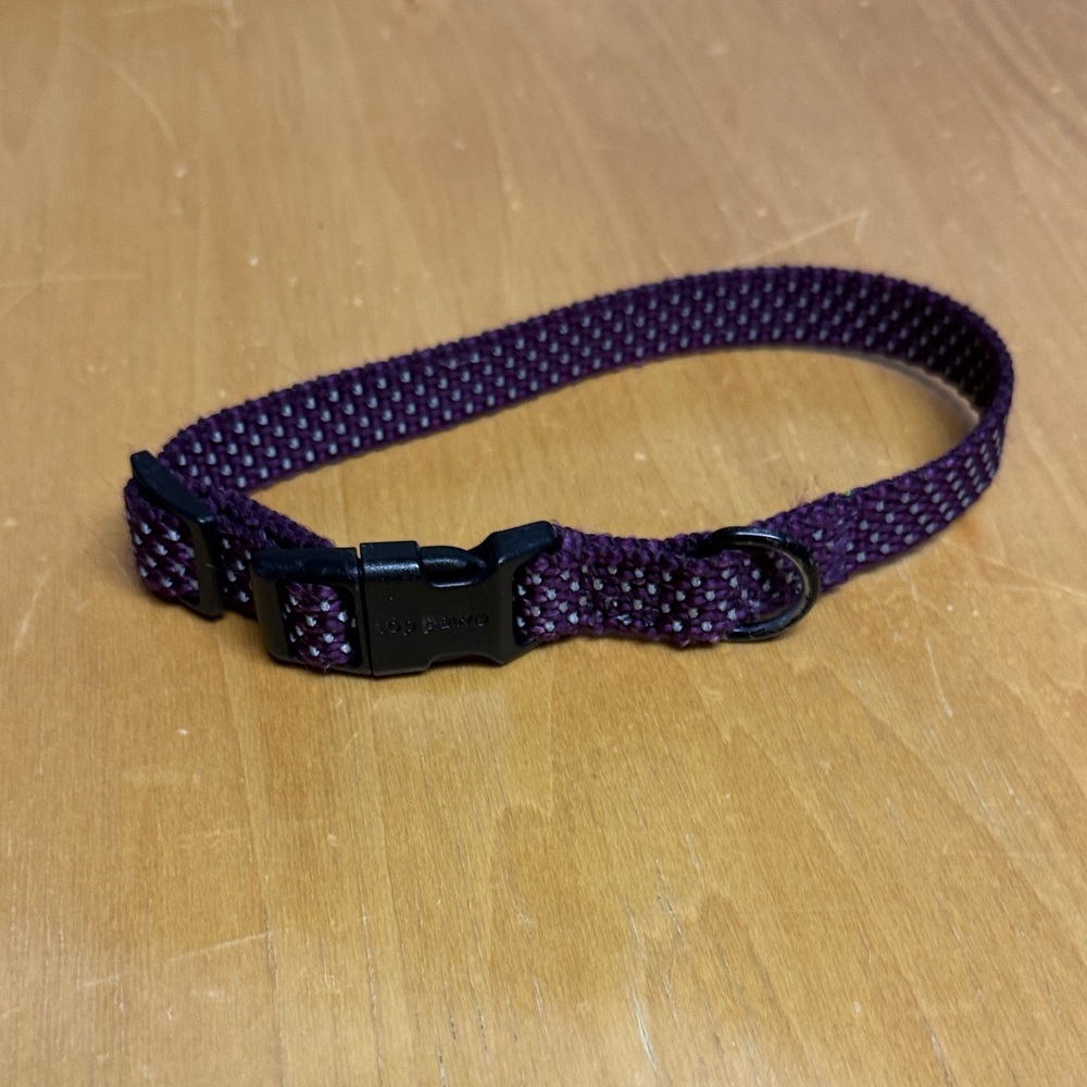 Purple Dog Collar-small